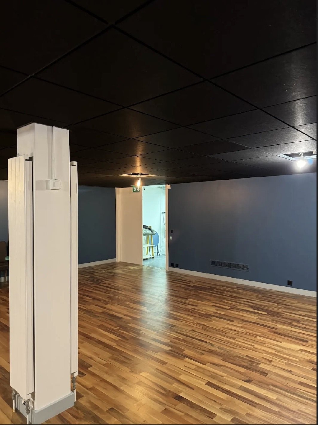 Local professionnel rénové avec parquet, murs bleus et plafond noir — Pro Innovation EB